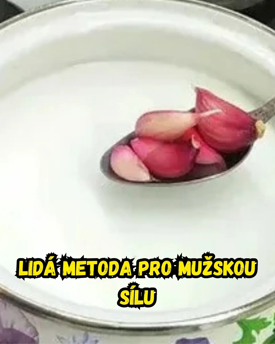 Komunita čtenářů sdílí zkušenosti